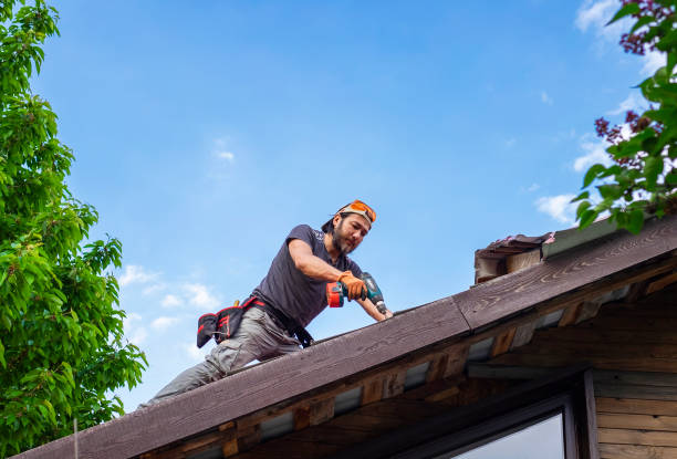 Best Steel Roofing  in Amesti, CA